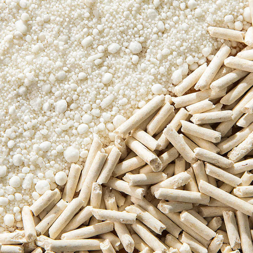 Latest company news about Cassava mixed cat litter becomes the new favorite in the market, focusing on environmental protection and practicality