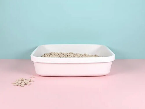 최신 회사 블로그 고양이 건강 을 위해 토푸 고양이 쓰레기 를 대체 하는 지침서