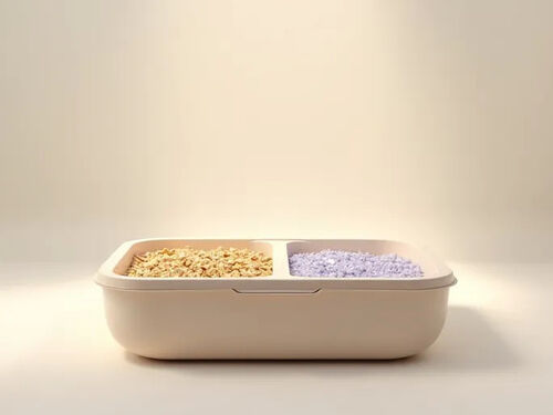 최신 회사 블로그 2025년 최고의 냄새 제거 고양이 모래