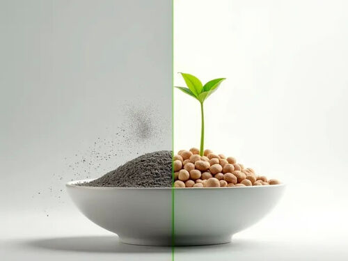 최신 회사 블로그 환경 친화적 인 고양이 쓰레기 가 반려동물 소유자 들 에게 인기를 끌고 있다