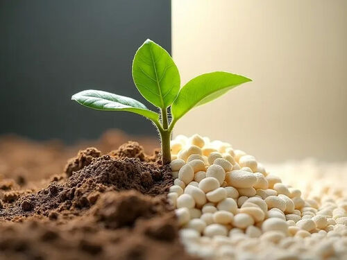 latest company blog about Ecoconscious Pet Owners Shift to Sustainable Tofu Cat Litter