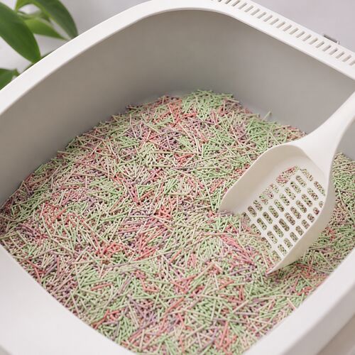 Latest company news about Colored Cat Litter: Insights into Style, Function, and Health for the Modern Cat Owner