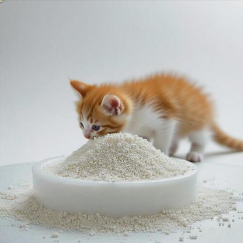 Latest company news about Why Cassava Cat Litter is Becoming the Next Big Trend in the Global Pet Market？