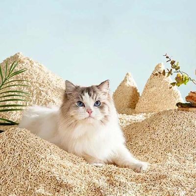 Многоароматный тофу для кошачьих отходов экологически биоразлагаемый тофу для кошачьих отходов