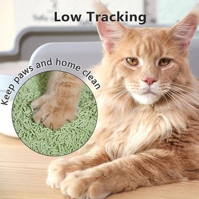 İyi bir fiyat. Yapışkan olmayan yeşil çay kedi çöpü OEM ODM Degrad edilebilir Tofu bazlı kedi çöpü çevrimiçi