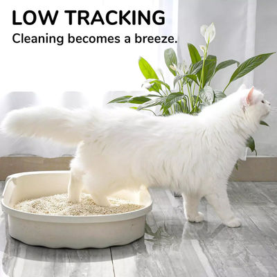 OEM Premium Easy Clean Plant Degradable Tofu Cat Litter сильное скопление