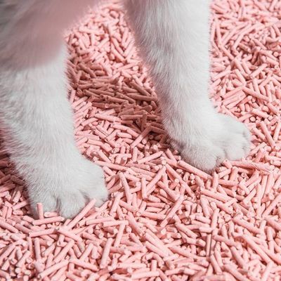 Естественное растение Биоразлагаемое Персик Кошка Ленивость Штрип Форма Многоароматизация Быстрое скопление