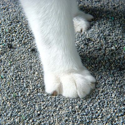 Хорошая цена Натриевая руда для кошачьего мусора онлайн