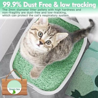 قیمت خوب ODM پایدار ارگانیک چای سبز گربه کثافات سریع گردآوری بدون گرد و غبار Flushable آنلاین