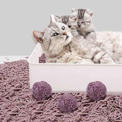 Giá tốt. ISO9001 Chất thải mèo Lavender được chứng nhận với kiểm soát mùi mạnh mẽ và hấp thụ cao trực tuyến