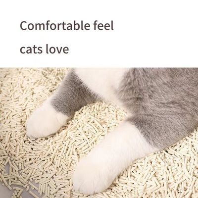 İyi bir fiyat. Sürdürülebilir Tofu Kedi Çöpü Yüksek Absorpsiyonlu Biyolojik Ayrılıklı Kedi Çöpü çevrimiçi