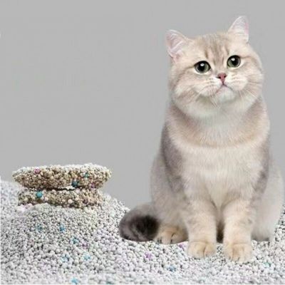 Хорошая цена Экономичный песок для кошек Бентонитный контроль запаха Дезодорирующий бентонитный мусор для кошек онлайн