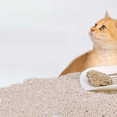 Buen precio OEM ODM Bentonita esférica de arena para gatos en línea