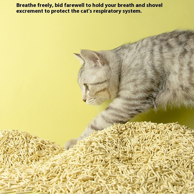 Harga yang bagus Asesoris untuk hewan peliharaan Pasokan Tanaman alami bebas debu Tofu Kotoran kucing Biodegradable Eco-Friendly Clumping Sand on line