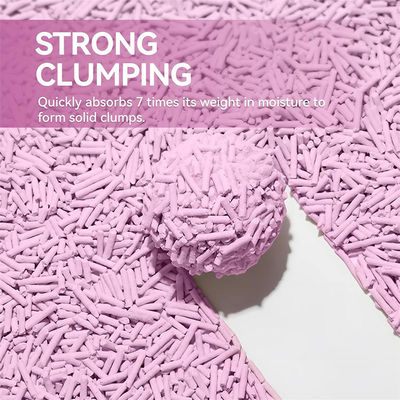 Pet Supply Odorless Sustainable Lightweight Lavender Tofu Cat Litter Fast Clumping Cat Litter Sand