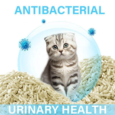 Bon prix Litière pour chat en tofu, 2,5 kg, bonne absorption d'eau, litière pour chat flushable et sans poussière en ligne
