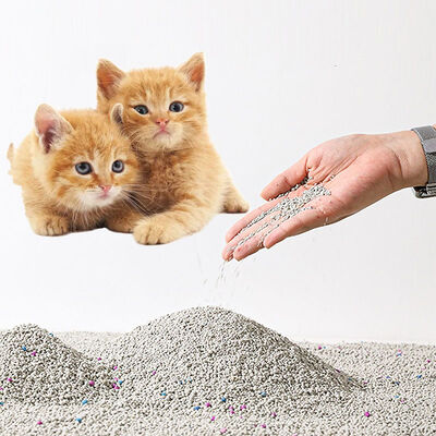 Good price Premium Bentonite Cat Litter OEM/ODM Custom Fast Delivery Bulk Wholesale Cost-Effective Pet Litter online