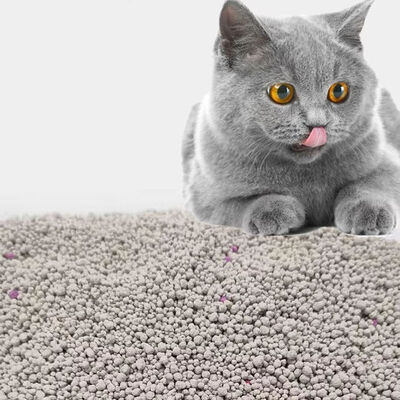 Buon prezzo BSCI Eco-Friendly Cat Litter Pet Supplies Fabbrica Senza polvere facile pulita ingombro di massa di bentonite Litter per gatti in linea