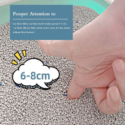 Buon prezzo Forte assorbimento dell'acqua Ottimo controllo degli odori Bentonite Naturale Eco-Friendly Pet Toilet Litter con profumo diverso in linea