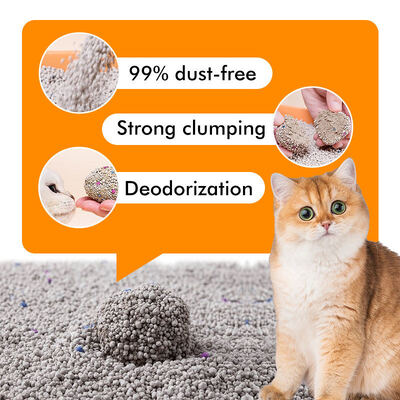 Guter Preis Katzenmüll Sand OEM-Fabrik Natürliche ökologische Staubfreie Bentonit Katzenmüll Premium Arena Para Gatos Online