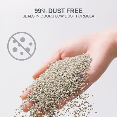 Bom preço Desodorizante Suporte de limpeza de super aglomeração de alta qualidade em forma de bola Bentonite Cat Litter on-line