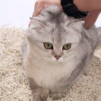 Bom preço Fábrica por atacado Lixo durável para gatos China Fornecedor Bentonita Tofu Misturado Lixo de gatos de qualidade premium on-line