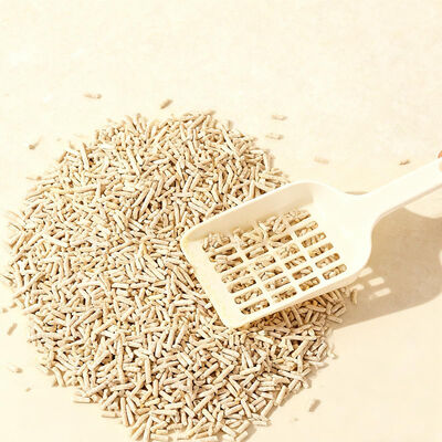 Harga yang bagus OEM/ODM Pasir Kucing Bebas Debu yang Dapat Disesuaikan, Berbasis Tumbuhan, Tahu, dan Biodegradable on line