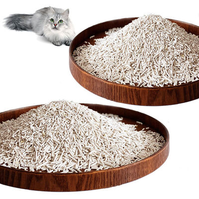 Buen precio El mejor control natural de olores fuertes aglomeración de plantas ecológicas para mascotas suministros de tofu basura para gatos en línea