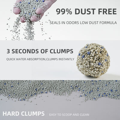 Bon prix Fabricant de litière pour chats Super déodorant Eco-friendly High Quality Clumping Bentonite Litter pour chat en ligne