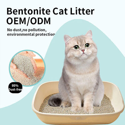 Goede prijs Huisdierproducten Laag Volgend Klontvormend Kattenbakvulling Betaalbaar Stofvrij Geurcontrole Bentoniet Kattenbakvulling online