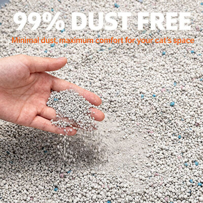 Buon prezzo Prodotti per la pulizia degli animali domestici Lettiera per gatti in bentonite senza polvere con colori e profumi in linea