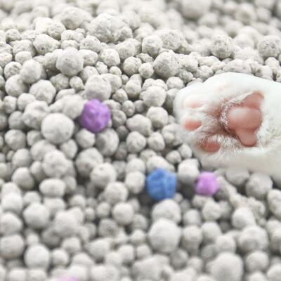 Bon prix OEM/ODM Strong Clumping Easy Clean Sodium Clay Cat Sand Poussière sans précieux détritus de Bentonite pour chats en ligne