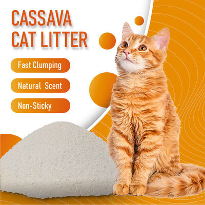Buen precio Arena para gatos de yuca aglomerante, natural, fácil de limpiar, al por mayor de fábrica, personalizable en línea
