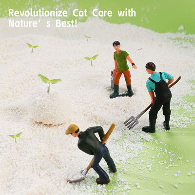 İyi bir fiyat. OEM/ODM Özel Çevre Dostu Toptan Dağıtım Evcil Hayvan Malzemeleri Topaklanan Manyok Kedi Kumu Kumu çevrimiçi