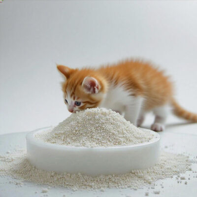 Bon prix Produits OEM/ODM en gros pour animaux de compagnie Eco-friendly Highly Absorbent Free of Dust Natural Cassava Cat Litter en ligne