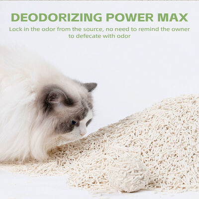 Bom preço Maca de gato de tofu de soja natural biodegradável à base de plantas maca de animais de estimação lavável on-line