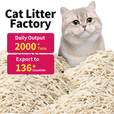 Bom preço Sem pó hipoalergênico Tofu descartável Resíduos para gatos Sem produtos químicos Pellets seguros para gatos com aroma natural on-line