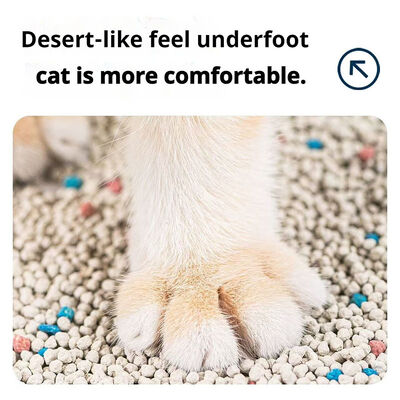 Good price Natural Sodium-Based Bentonite Cat Litter Fast Clumping Multi-Cat Odor Absorption Solution online