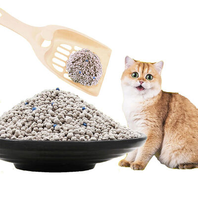 Fragrance Customizable Clumping Bentonite Cat Litter for Indoor Cats with Strong Odor Protection