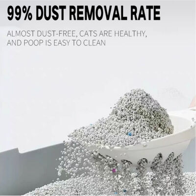 Premium Quality Bentonite Cat Litter with Hard Clumping and Low Tracking Formula