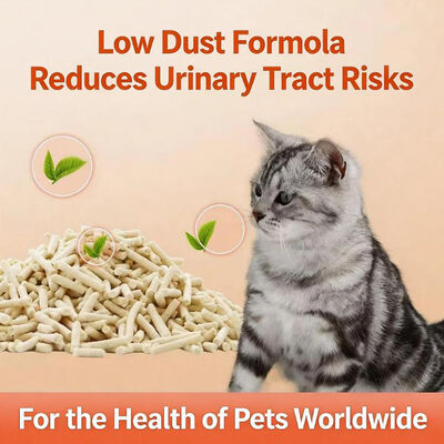 Natural Biodegradable Pea Fiber Tofu Cat Litter with Fast Clumping Low Dust Flushable Formula Performance