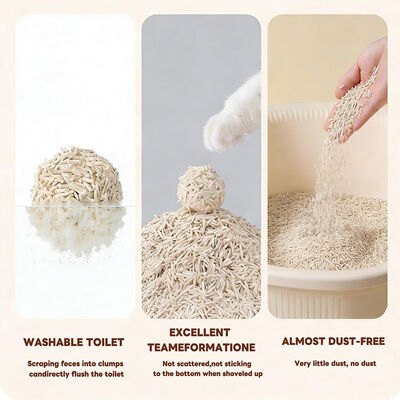 Bom preço Produtos Naturais Ecológicos para Animais de Estimação com Fibra de Ervilha Excelente Aglomeração Descartável Baixo Poeira Tofu Areia para Gatos On-line