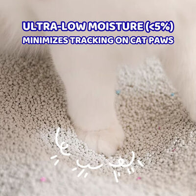 Premium Bentonite Cat Litter with Fast Clumping Strong Absorption and Superior Odor Control