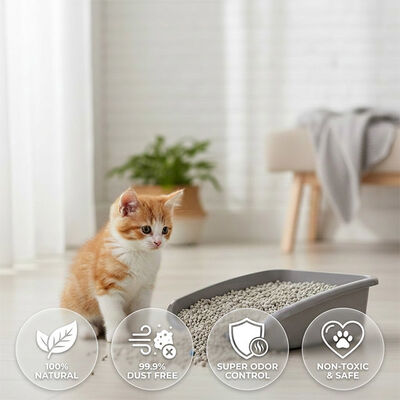 Premium Fine Bentonite Cat Litter with Dust Control Technology and Strong Moisture Absorption