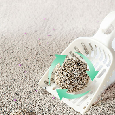 Cost Effective Bentonite Cat Litter Delivering Efficient Absorption Tight Clumping Easy Maintenance