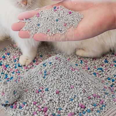Export Quality Bentonite Cat Litter Supporting OEM Packaging Stable Supply and Customization