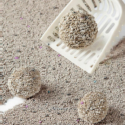 Bentonita Natural Cat Litter Grânulos Finos Rapido Aglomerado Excelente Absorção Baixo Pó