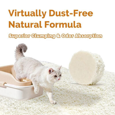 Premium Pet Goods Eco-Friendly Quick Absorbing Strong Clumping Pet Supply Cassava Cat Litter