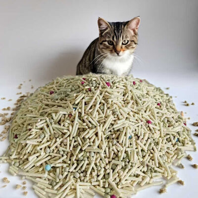 Bom preço Areia para Gatos Natural de Tofu e Bentonita de Aglomeração Rápida Sem Poeira e Ecológica On-line