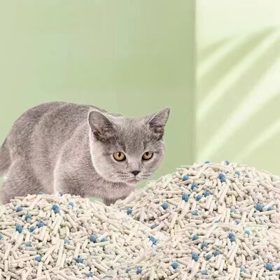 Bom preço Fornecimento profissional de animais de estimação pouca poeira forte aglomeração de tofu bentonita misturado lixo de gato On-line